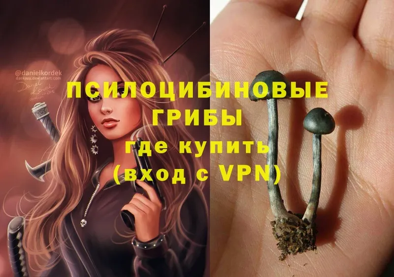 Галлюциногенные грибы Psilocybe Анива